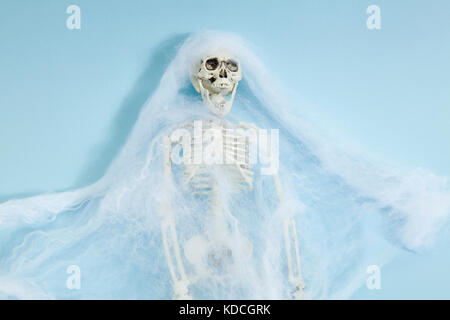 Plastic toy skeleton captured by a spider web on a vibrant pop blue background. Minimal color still life photography Stock Photo