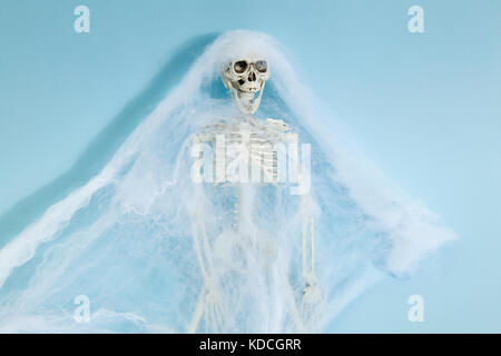 Plastic toy skeleton captured by a spider web on a vibrant pop blue background. Minimal color still life photography Stock Photo