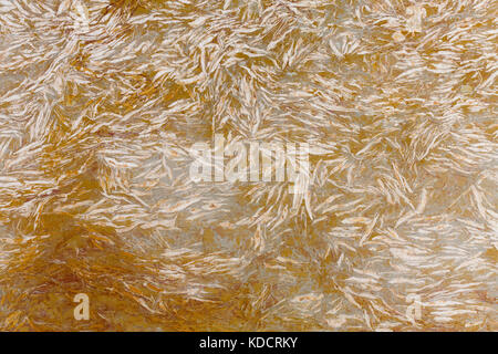 Orange marble stone texture. Stock Photo