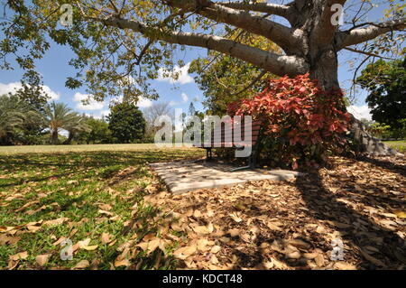 Anderson Park Botanical Gardens, Townsville, Queensland, Australia Stock Photo