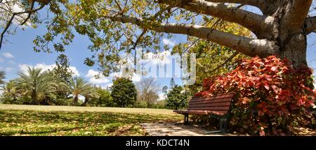 Anderson Park Botanical Gardens, Townsville, Queensland, Australia Stock Photo