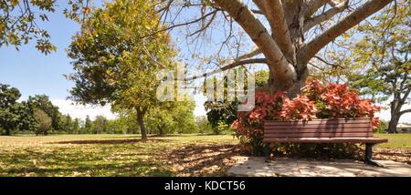 Anderson Park Botanical Gardens, Townsville, Queensland, Australia Stock Photo