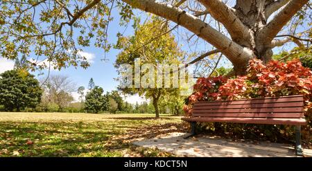 Anderson Park Botanical Gardens, Townsville, Queensland, Australia Stock Photo