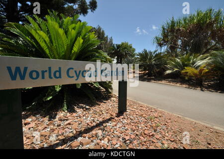 World Cycad garden, Anderson Park Botanical Gardens, Townsville, Queensland, Australia Stock Photo