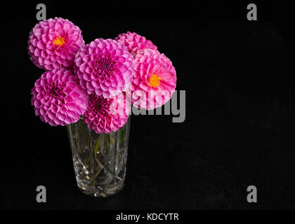 Bouquet of pink pompom dahlias in a crystal glass. Stock Photo