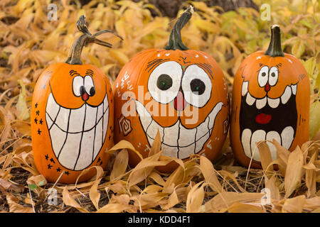 Close up of three decorated pumpkins that are painted with smiles, big teeth and oval eyes. Photographed among dried leaves. Shallow depth of field. Stock Photo