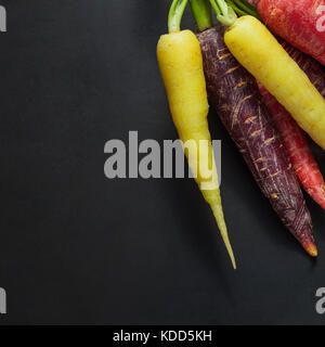 Closeup of colorful carrots and radishes on black background. Stock Photo