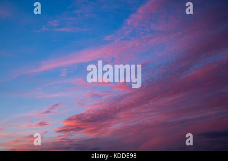 Autumn evening Sunset seen over Framingham Suffolk England UK with wispy sparse pink and golden orange wispy high altitude Cirrocumulus clouds Stock Photo