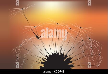 Dandelion and sunset background Stock Vector