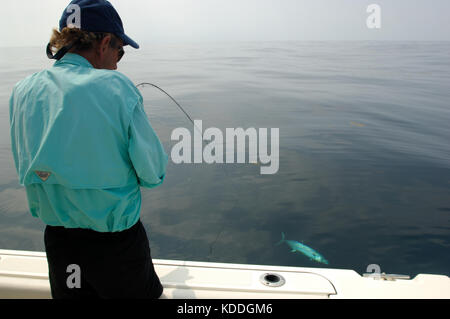 A fisherman with a kingfish or king mackerel caught while fly fishing offshore from Freeport, Texas Stock Photo