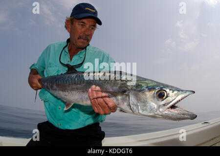 A fisherman with a kingfish or king mackerel caught while fly fishing offshore from Freeport, Texas Stock Photo