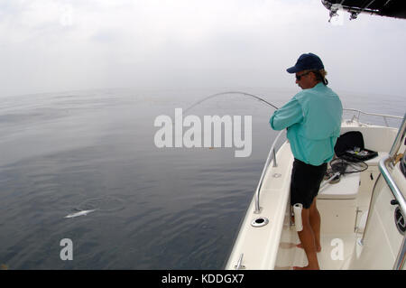 A fisherman with a kingfish or king mackerel caught while fly fishing offshore from Freeport, Texas Stock Photo