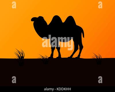 Vector silhouette camel on the background sunset Stock Vector