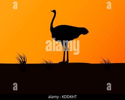Vector silhouette ostrich on background of sunset Stock Vector