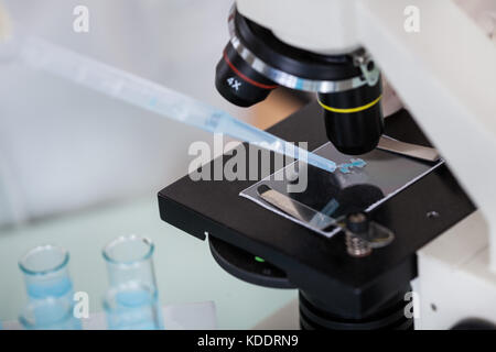 Close-up Of Sample On Microscope Slide In Laboratory Stock Photo