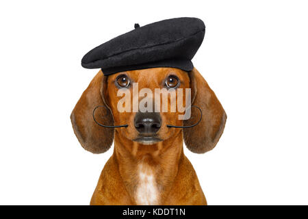 dachshund hat