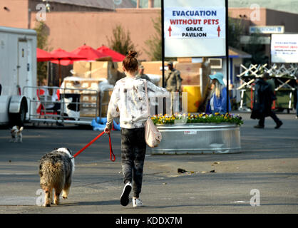 Santa Rosa, USA. 12th Oct, 2017. A woman with her dog walks at a temporary settlement in Santa Rosa, California, the United States, on Oct. 12, 2017. California Governor Jerry Brown offered his sympathy Thursday to the victims of wildfires that are ravaging the state, and will visit the effected areas soon, as the death toll hit a new high of 29, local media reports said. Credit: Wu Xiaoling/Xinhua/Alamy Live News Stock Photo
