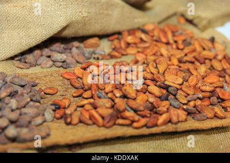 London, UK, 12th Oct 2017. Cocoa beans on display. Opening night of the Chocolate Show 2017 at Kensington Olympia Exhibition Centre. The show is a celebration of all things chocolate and runs from 13-15th October, open to trade and public. This year, it features celebrity stages, the Choco L’ART gallery with masterpieces of art made from chocolate, a nearly 2metre high chocolate wall and many other exciting exhibits. Credit: Imageplotter News and Sports/Alamy Live News Stock Photo