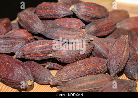 London, UK, 12th Oct 2017. Cocoa beans on display. Opening night of the Chocolate Show 2017 at Kensington Olympia Exhibition Centre. The show is a celebration of all things chocolate and runs from 13-15th October, open to trade and public. This year, it features celebrity stages, the Choco L’ART gallery with masterpieces of art made from chocolate, a nearly 2metre high chocolate wall and many other exciting exhibits. Credit: Imageplotter News and Sports/Alamy Live News Stock Photo