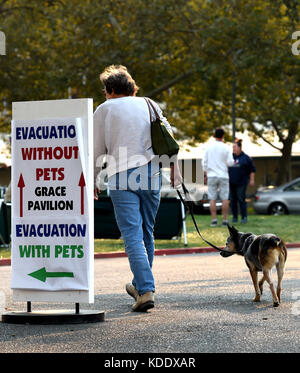 Santa Rosa, USA. 12th Oct, 2017. A woman with her dog walks at a temporary settlement in Santa Rosa, California, the United States, on Oct. 11, 2017. California Governor Jerry Brown offered his sympathy Thursday to the victims of wildfires that are ravaging the state, and will visit the effected areas soon, as the death toll hit a new high of 29, local media reports said. Credit: Wu Xiaoling/Xinhua/Alamy Live News Stock Photo