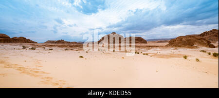 Panorama Sand desert Sinai, Egypt, Africa Stock Photo