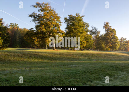 lights and colors in park of rambouillet, france Stock Photo