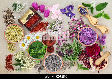 Herbs and flowers used in alternative herbal medicine on natural hemp paper background. Top view. Stock Photo