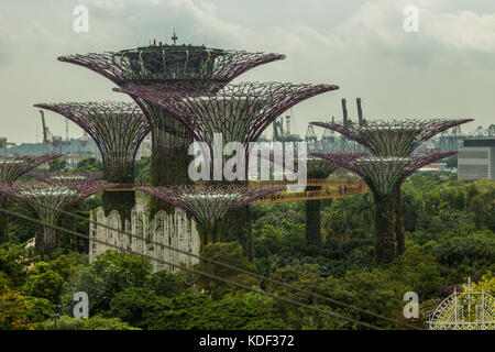 Supertrees, Gardens by the Bay, Singapore Stock Photo