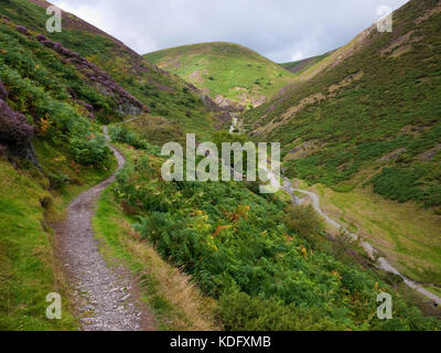 View up Mott's Road on the Jack Mytton Way in Carding Mill Valley on the Long Mynd, near Church Stretton in the Shropshire Hills AONB Stock Photo