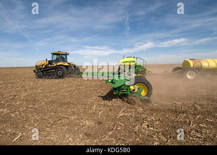 CAT CHALLENGER TRACTOR PLANTING COTTON WITH A JOHN DEERE 24 ROW PLANTER INTO CORN STUBBLE Stock Photo