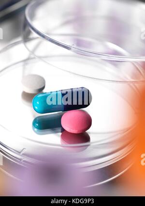 Pills in a Petri dish. Stock Photo