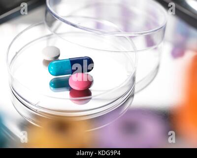 Pills in a Petri dish. Stock Photo