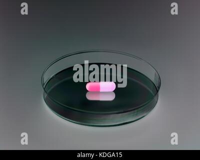 Pill in Petri dish illustrating drug research and clinical testing.