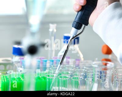 Pipetting samples into test tubes during an experiment in the laboratory. Stock Photo