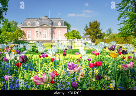 Spring blooms in the French Garden at Schloss Benrath Düsseldorf, Germany Stock Photo