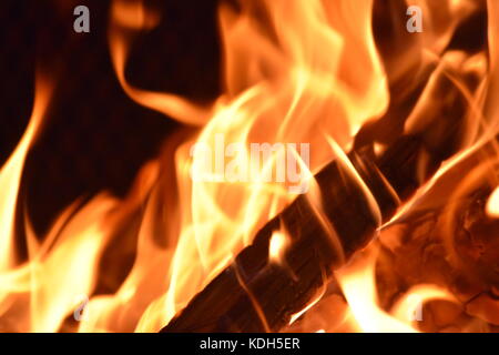 Fire Pit Wood Burning on a Summer Night Stock Photo