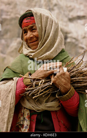 Baltistan, Pakistan, 1990; A Balitsani woman carries a an armful of twigs in her arms as she walks through the mountains near Skardu. Stock Photo