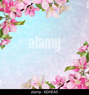 Floral frame with branches of cherry or apple tree with pink flowers and leaves in corners and space for text. Beautiful design for spring greeting ca Stock Photo