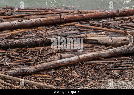 Tree trunks and other bits of wood, close to shore on Ghost Lake in Alberta, Canada. Stock Photo