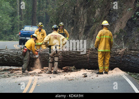Santa Rosa, California, USA. 12th Oct, 2017. Fireman and loggers remove trees along Calistoga Rd near Santa Rosa, California, that were weakened due to the fires. Credit: Rustin Gudim/ZUMA Wire/ZUMAPRESS.com/Alamy Live News Stock Photo