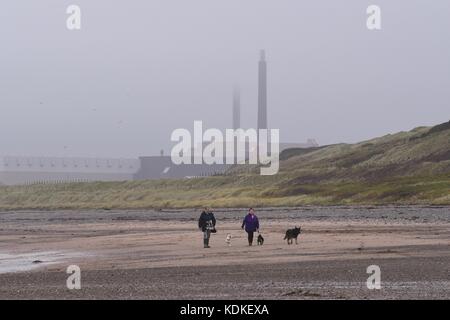 Seascale, Cumbria, UK. 14th Oct, 2017. UK weather - a blustery day with low cloud for dog walkers on Seascale beach overlooked by Sellafield nuclear site Credit: Kay Roxby/Alamy Live News Stock Photo