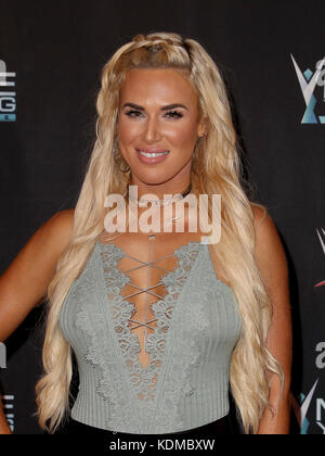 WWE Presents Finale First Ever Mae Young Classic Women's Tournament at Thomas and Mack Center  Featuring: Lana Where: Las Vegas, Nevada, United States When: 13 Sep 2017 Credit: Judy Eddy/WENN.com Stock Photo