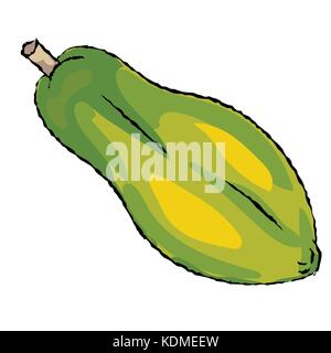 Isolated Papaya cartoon style on white background -Vector Illustration Stock Vector