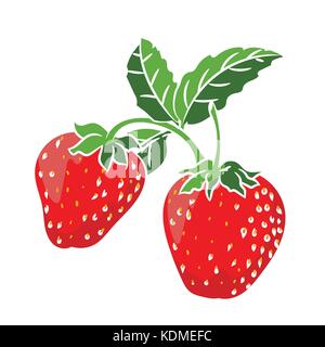 Illustration Strawberry isolated on white background - Vector Illustration Stock Vector