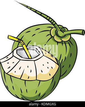 Illustration of fresh Coconuts isolated on white background -Vector Illustration Stock Vector