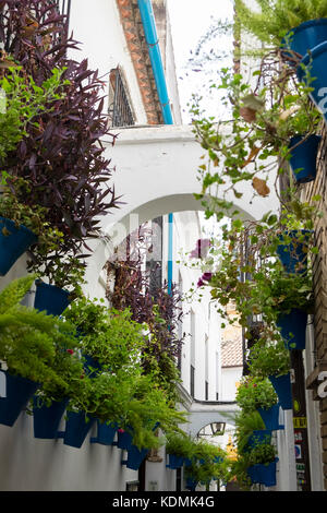 Alley Calle de las Flores, Cordoba, Andalusia, Spain Stock Photo