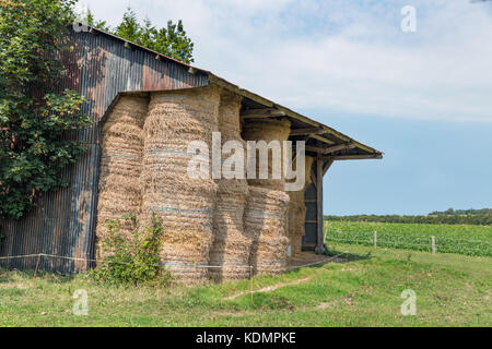 Shed with pile of haystacks in Normandy, France Stock Photo