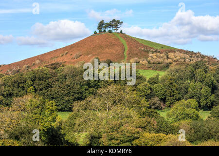 Colmer's Hill, Symondsbury, Dorset, England, United Kingdom Stock Photo