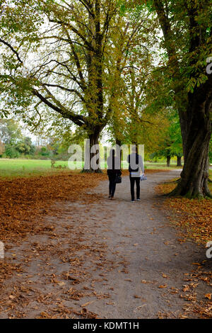 Morden Hall Park Autumn Stock Photo