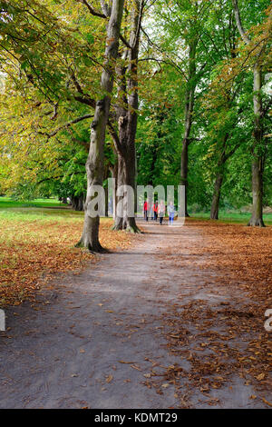 Morden Hall Park Autumn Stock Photo